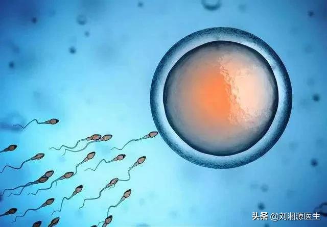 免疫相关高危妊娠,免疫性不良妊娠备孕