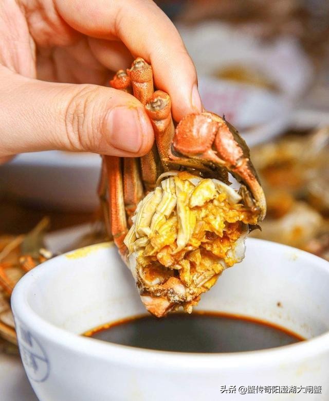 七夕将至，还没想好吃什么？不如试试蟹传奇大螃蟹