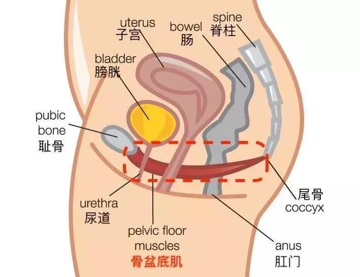 女人们！产后后遗症影响终身，别人不管，你自己一定要重视啊！