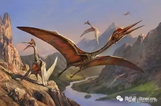 哈特斯哥翼龙比风神翼龙大吗,哈特兹哥翼龙复原图