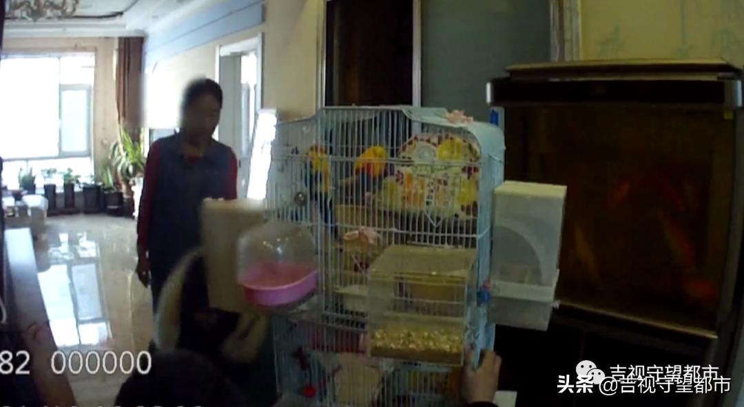 买和尚鹦鹉被判刑,网上卖宠物被判刑