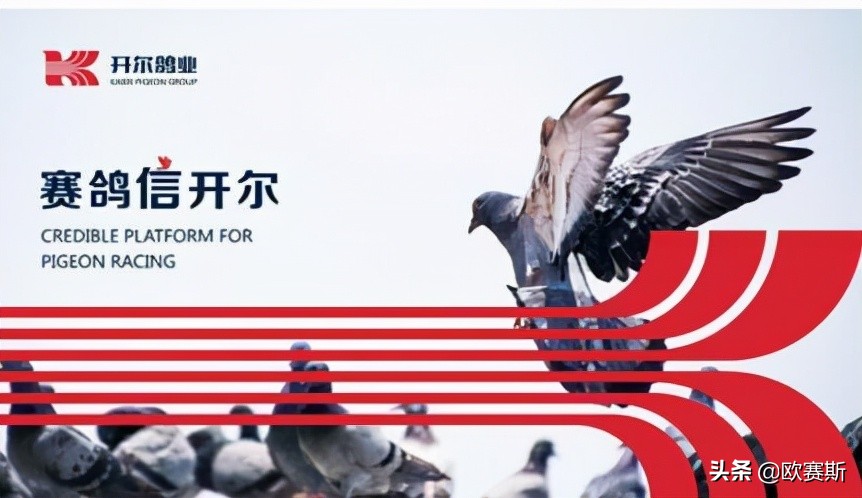 鍝佺墝鎴樼暐宸ュ叿,鍝佺墝鎴樼暐涓冪姝﹀櫒