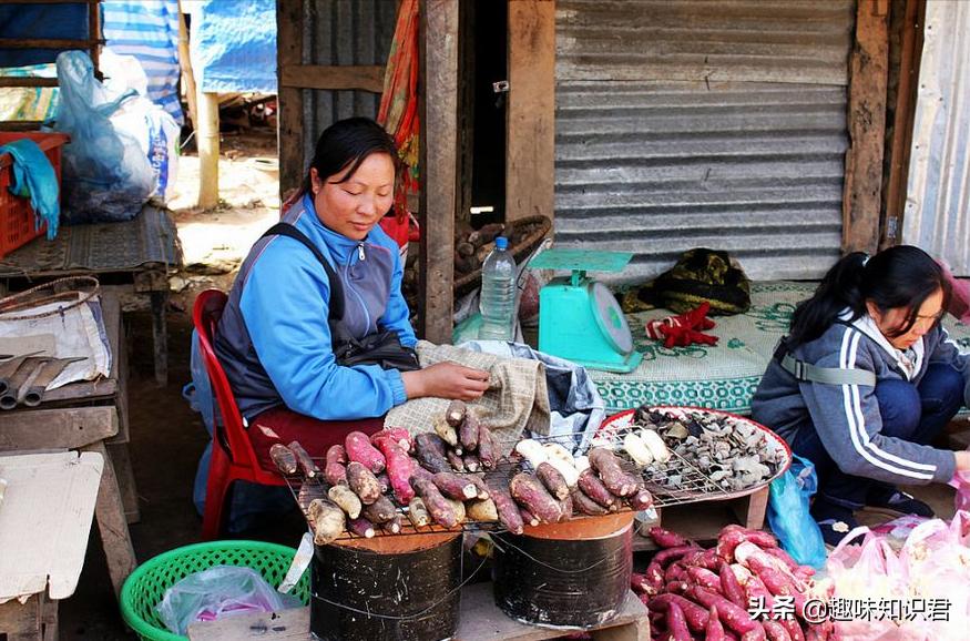 千奇百怪的趣味冷知识,我的世界的趣味冷知识