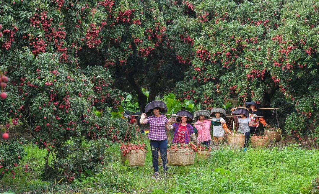 “惠阳八景”视频上线，快来感受将军故里新风采！