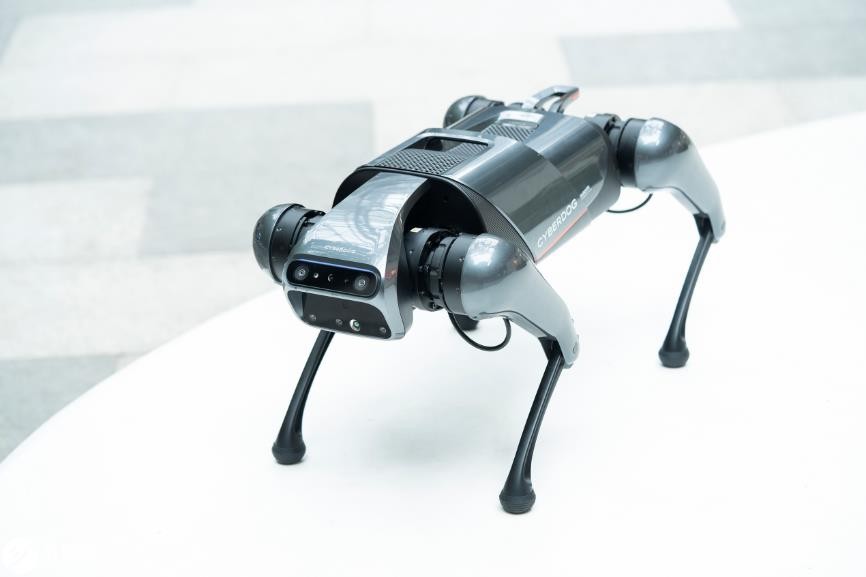 铁蛋四足仿生机器人,cyberdog铁蛋有什么用