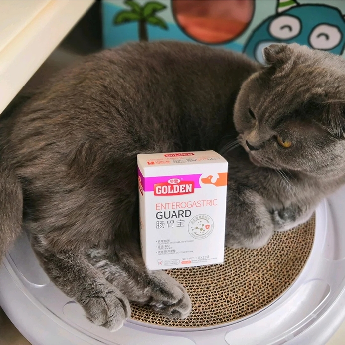 猫咪每天舔主人手指,猫咪给正在上厕所的猫咪舔毛