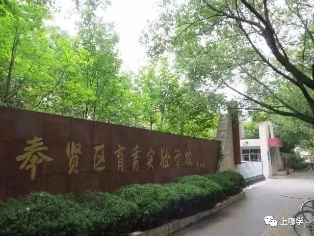 潜力股！上海16区黑马公办小学PK！谁会是下一个明珠、向阳？