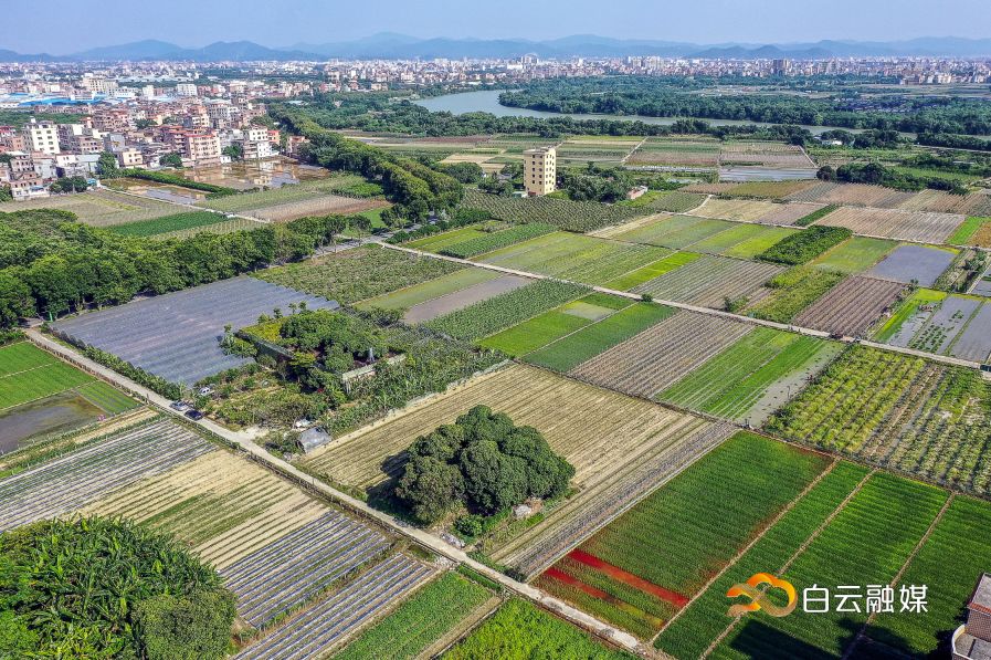 走在乡间小路观赏田园风光体验,看田园风景品乡间生活尝农家美食