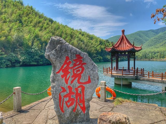 宜兴竹海自然风景图片,清新的竹林风景图片