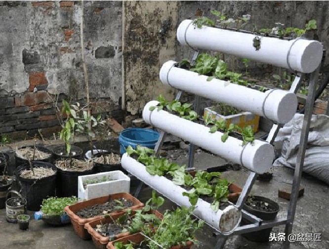 废物改造花盆绿植,旧物改造吊兰花盆