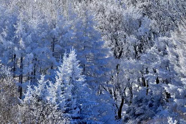 吉林省通化市柳河,吉林通化县柳河