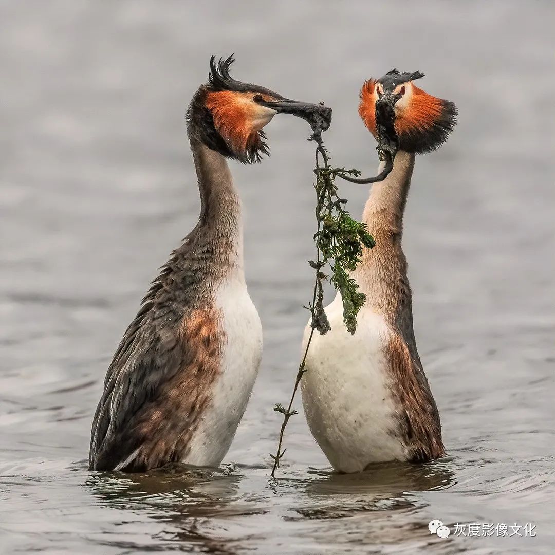 第四届国际风光摄影大赛,第四届国际摄影巡回赛