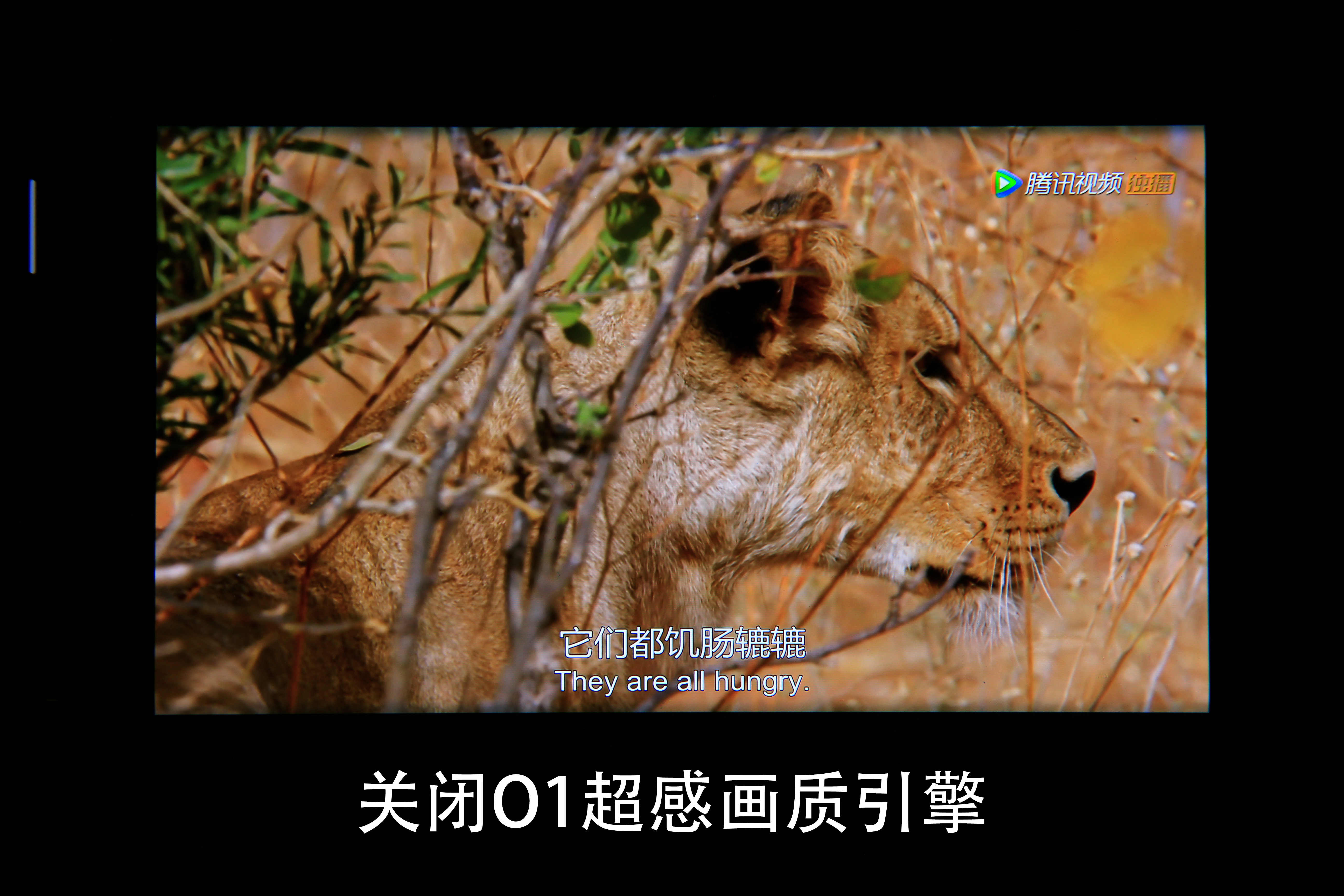 感受极致体验——OPPOFindX2Pro深度测评