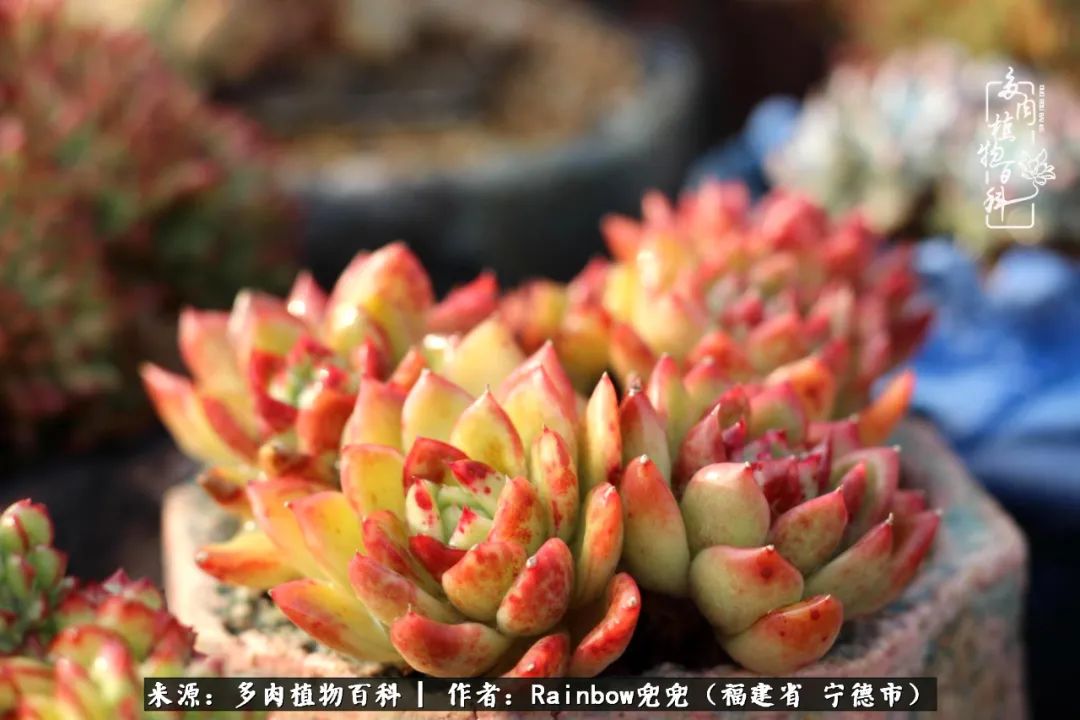 岁月无波澜余生不悲欢是啥意思,愿你岁月无波澜敬我余生无悲欢