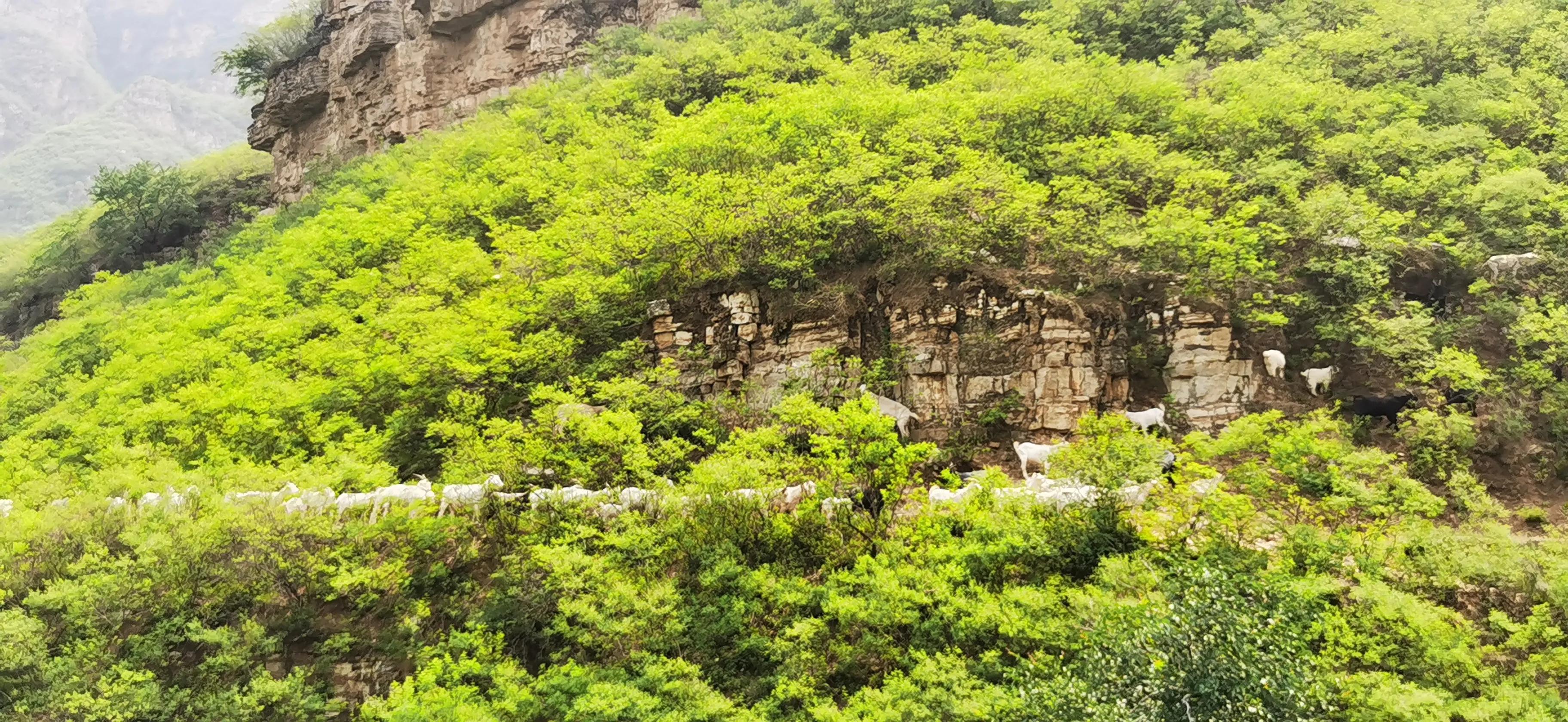 保定唐县媳妇沟自驾游夏天,唐县网红打卡地媳妇沟