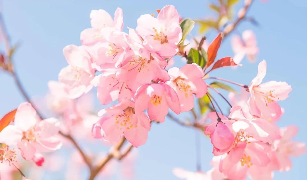 想去大连了,还有人想去大连吗