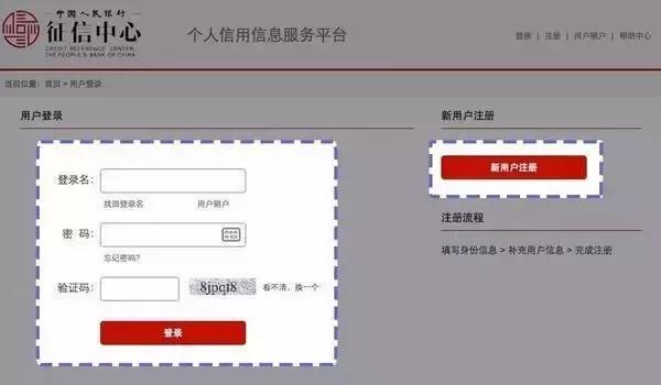 央行官网的征信报告是什么样子,央行征信中心查询的报告是详版吗