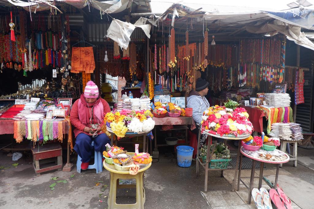 坐公交出国,坐公交可以环游中国么