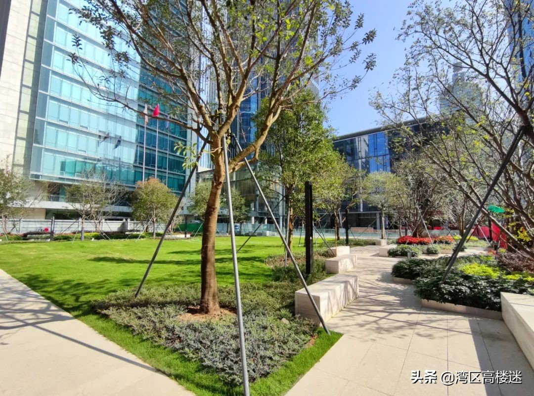 上海黄金交易所建设,黄金交易所深圳运营中心项目