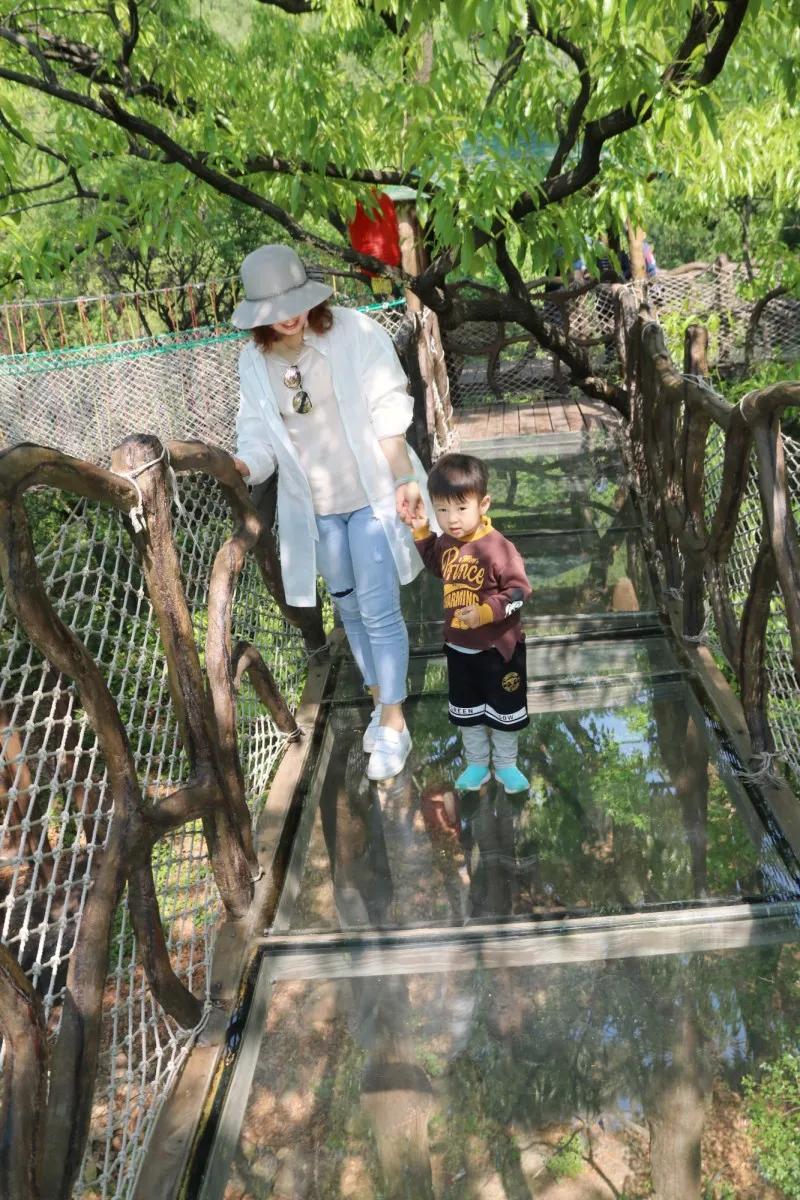 抱犊崮风景区高考门票免费,抱犊崮门票半价政策