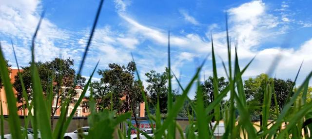 商洛一座美丽的城市,商洛最美的小城市