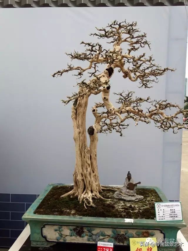 骞哥涔呬箙鐢滅敎铚滆湝,骞哥涔呬箙