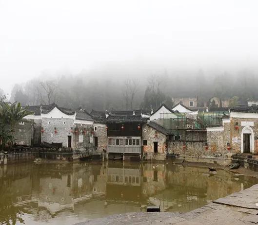 鏂扮敯鏋уご鐏伨,鏂扮敯鏋уご