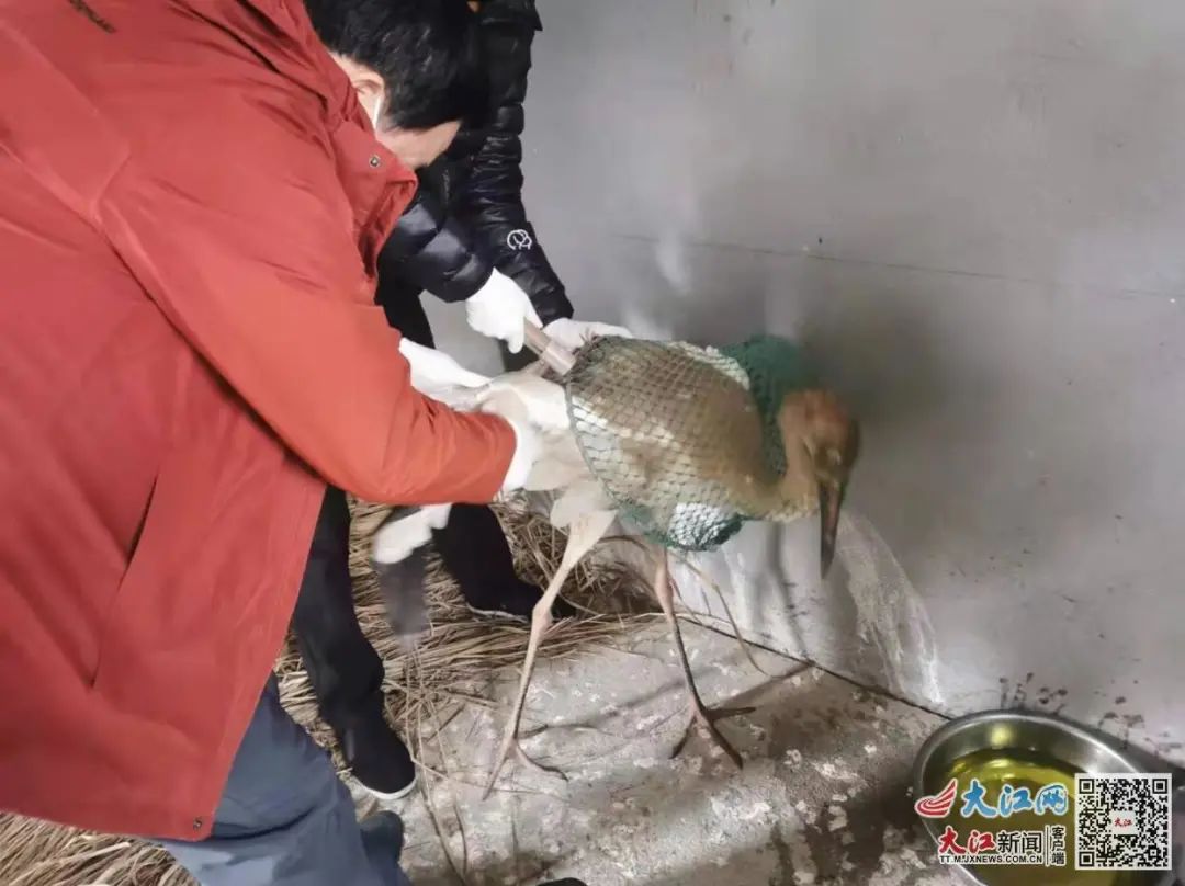 江西真暖！谢谢过年不回家的你！