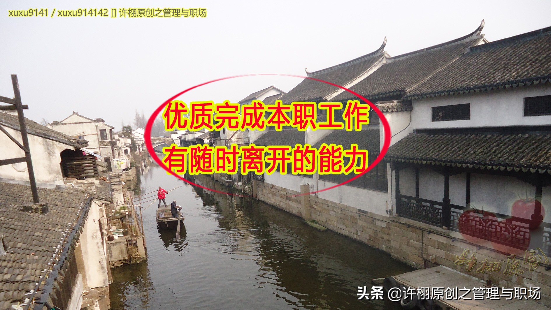 职场上领导处处针对你怎么办,领导很针对你怎么办