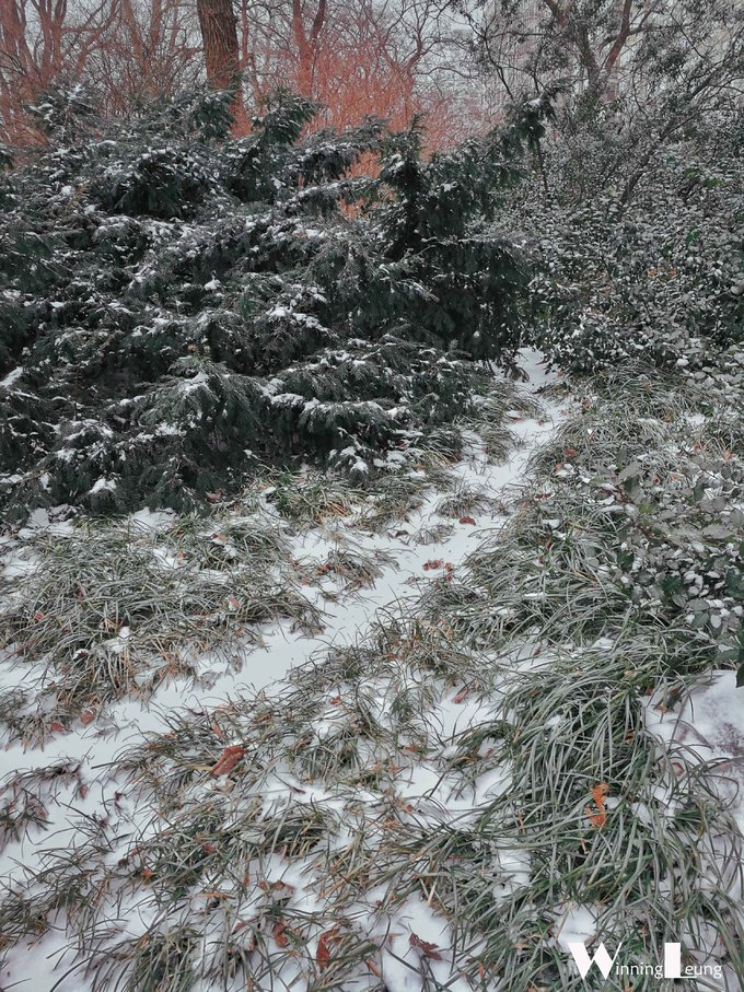 纽约中央公园世界奇迹,纽约中央公园浦东世纪公园