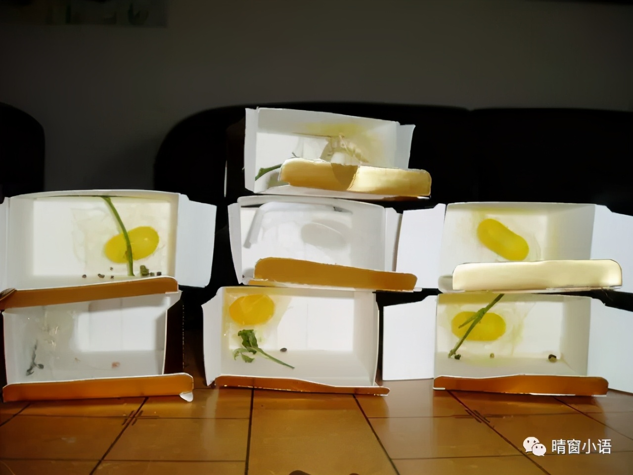 养蚕过程记录表格三年级,养蚕三龄蚕的方法