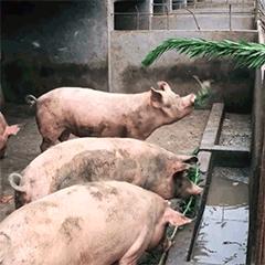 第一天在水果店上班的感受是什么,在水果店上班的日常