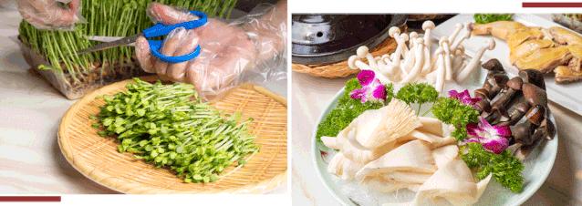 6头鲍鱼1斤多少钱,6头鲍一斤多少钱