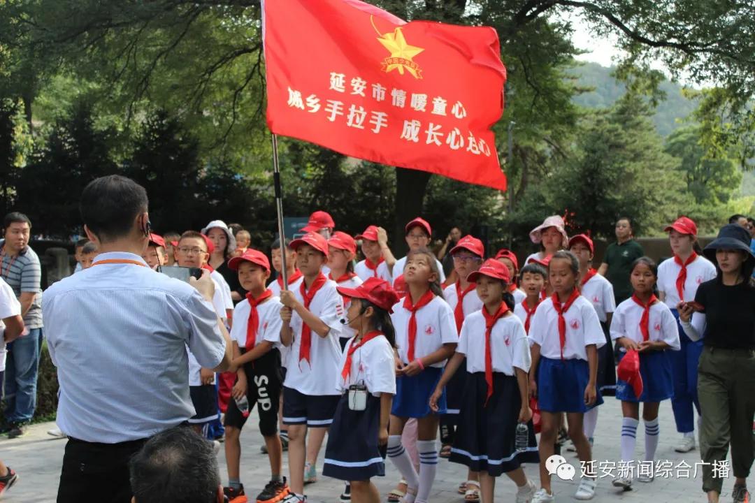 延河热线直播,延河热线直播间