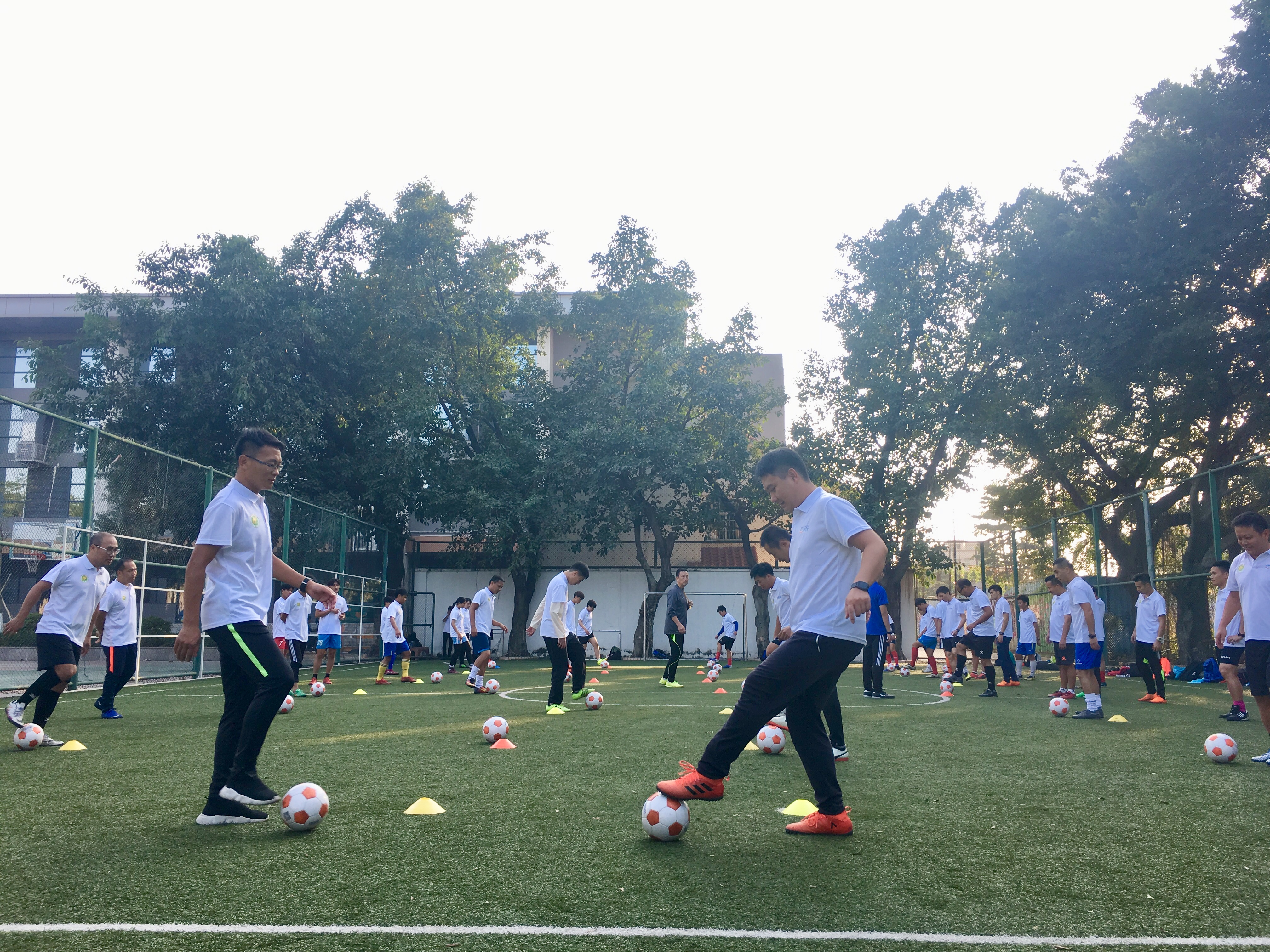 超萌幼兔,超萌兔公益足球直播课堂