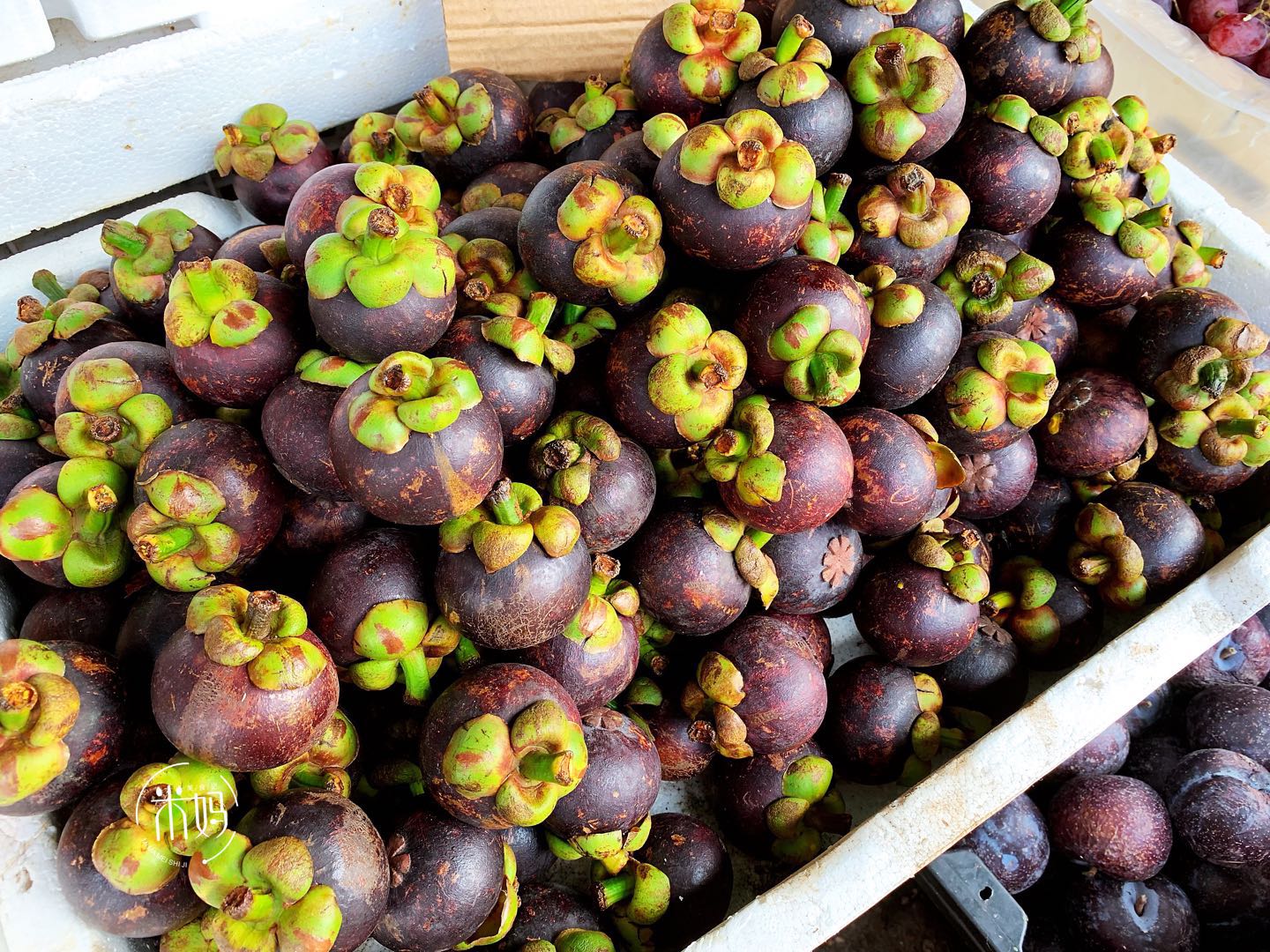 山竹应该怎么挑选更好吃,怎样能挑到又大皮薄的山竹