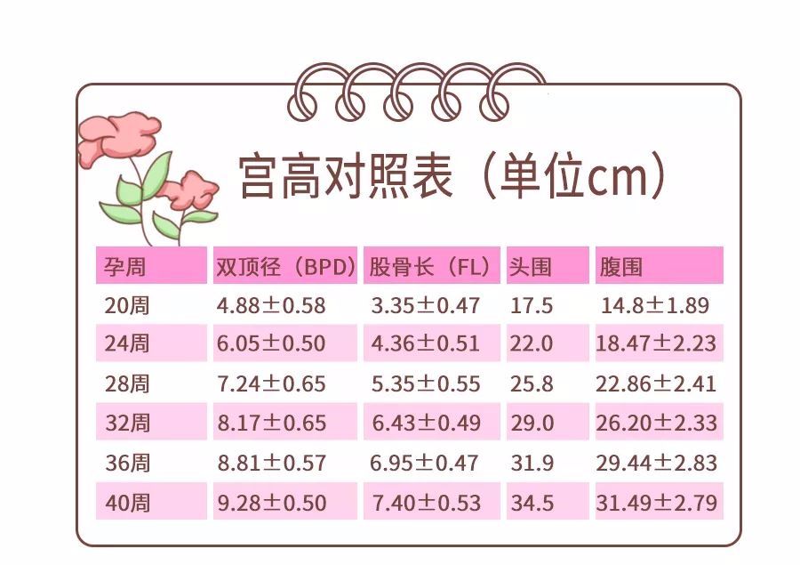产检小册子是什么东西,产检报告单怎么贴在产检册上