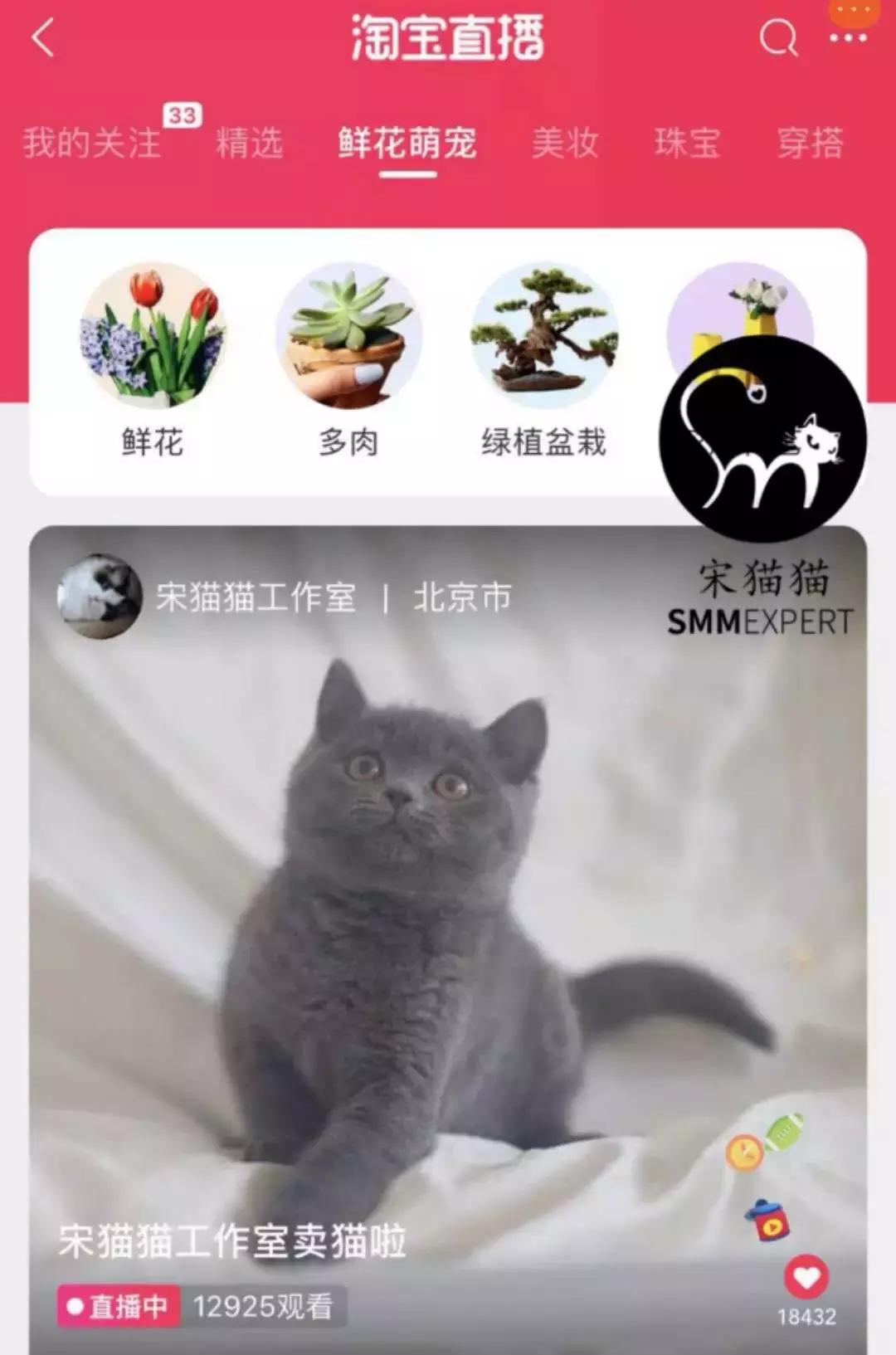 开宠物店一个月可以赚多少钱,揭秘宠物店是怎么赚钱的