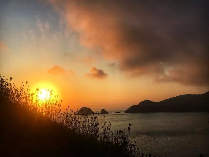 初心枸杞岛旅游攻略,枸杞岛旅游攻略大全