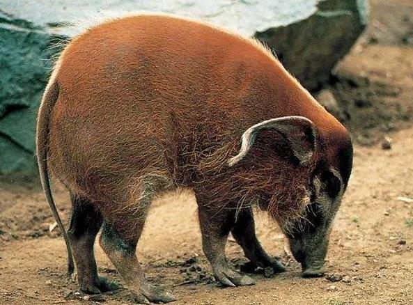 地球最奇特的沙漠,地球上最优越的气候是什么气候