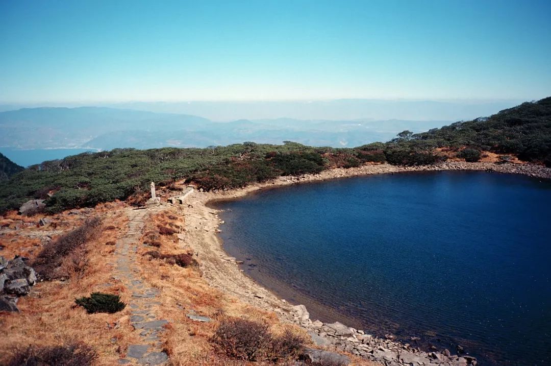太格有物怎么样,太格有物