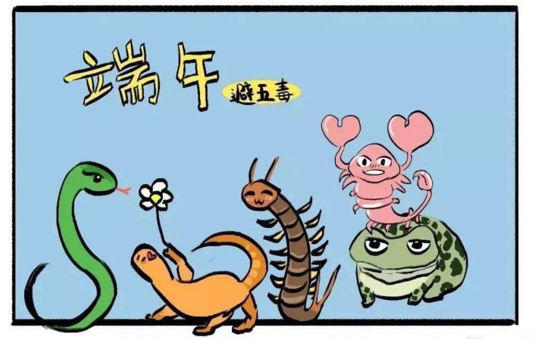 端午到五毒醒哪个习俗与五毒有关,五毒指哪五毒五毒之首又是哪个呢