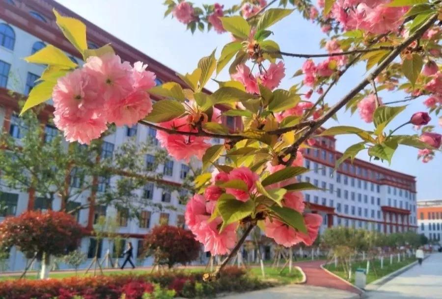 西南第一专科学院,四川汽车类位次7200单招学校推荐