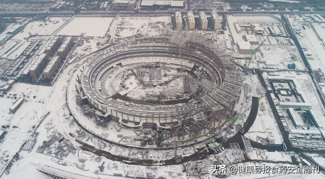 西安世园会石榴花,西安石榴花