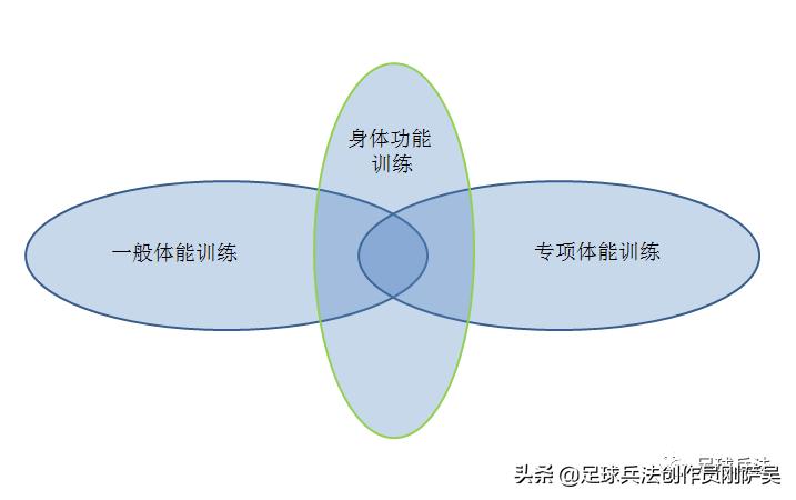 足球训练理论有哪些,足球体能训练基础知识
