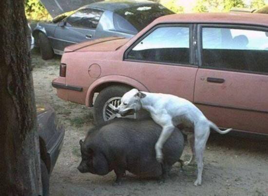 谈恋爱最有用的20条技巧,谈恋爱中怎么追女孩的技巧和方法