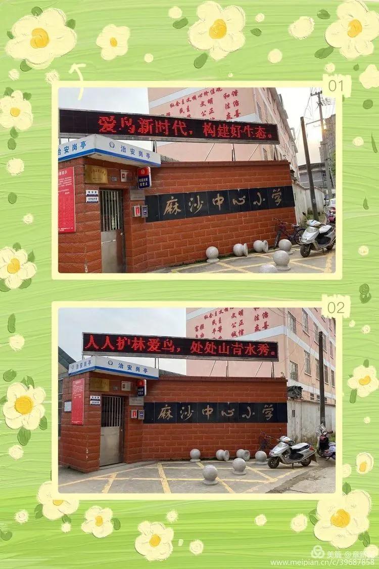 “同心呵护鸟类共建美好家园”建阳麻沙中心小学第38届爱鸟周活动