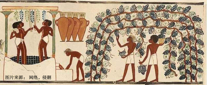 常用洗发水是酸性还是碱性,真正有效的洗发水有哪些