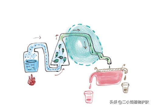 纯露初学者入门教程,十大公认好用的纯露