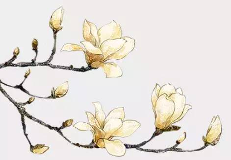 番禺｜南村网红地又出大片了！这么美的古装照在家门口就可以拍